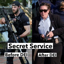 Secret+service_b27be5_11762324.jpg