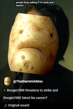 1721042854999.png