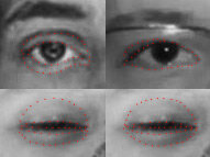Eye2.jpg