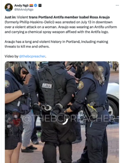 1721081760480.png