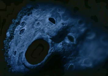 f5154t67.png