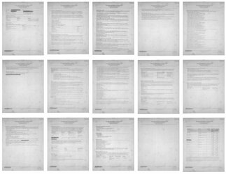 CJR Case Plan.jpg