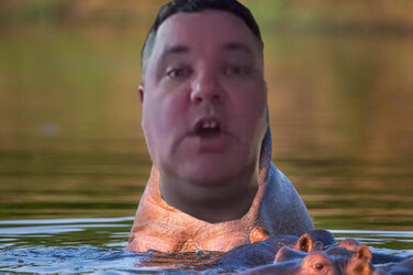 hippo.jpg