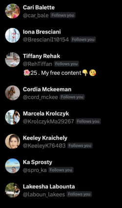 Screenshot 2024-07-16 at 21.16.51.png
