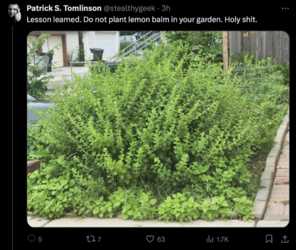 Screenshot 2024-07-16 at 22.27.37.png