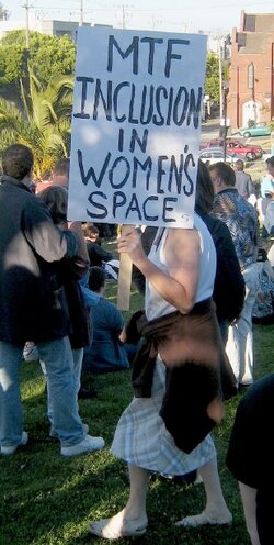 spaces invader.jpeg