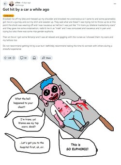 pooner euphoria-hit by car.jpg