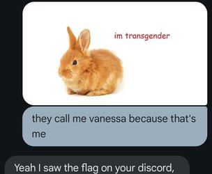 df98b62dface544dc95a3a89745e05f9df93cc08.jpg
