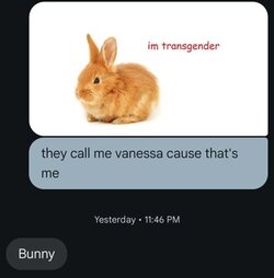 49861f643f50932f9ad09540da19444e317708c7.jpg