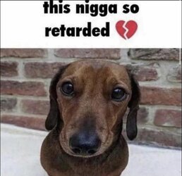 1721235870956.jpeg