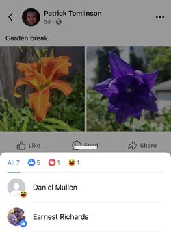 IMG_8421.jpeg