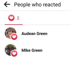 Mike and Audeen Green.jpg