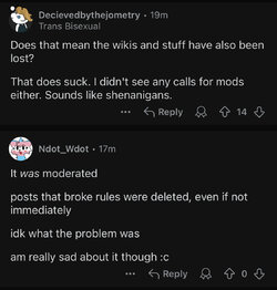 IMG_6365.jpeg