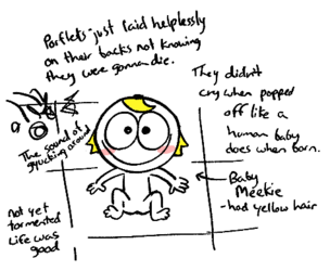 72cb488b85fe5d8e.png