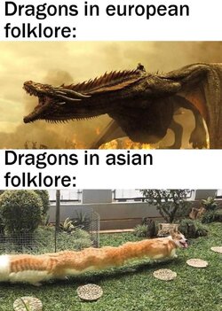 dragon-meme-v0-7pr70lsxdwua1.jpg