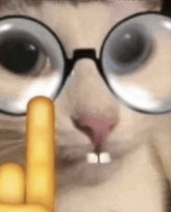 1721311029213.png