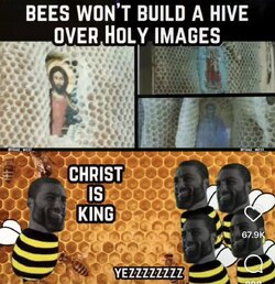 IMG_9294.jpeg