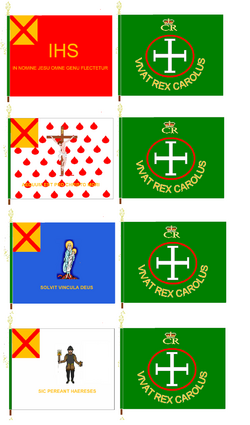 Catholic Confederate colours.png