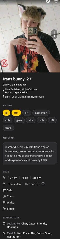transbunny 1.jpg
