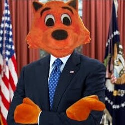 president cool cat.jpg