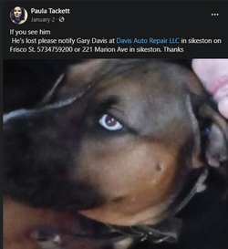 Davis Auto 2.png Davis Auto 2.png