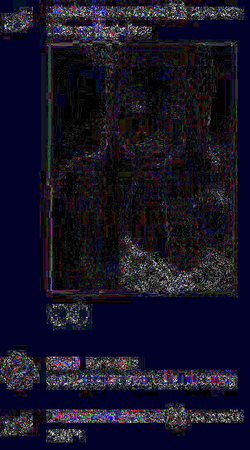 kirsch.png