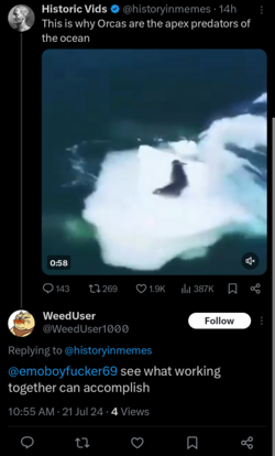 Screenshot_20240721-105904.png