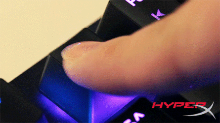 giphy (1).gif