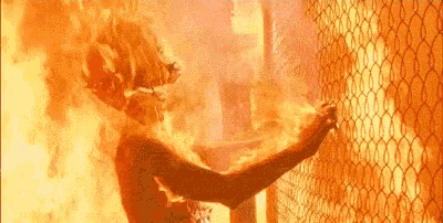 tenor (1).gif