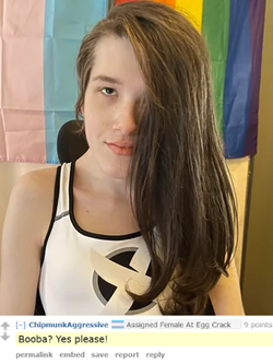 chipmunk.png