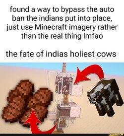 IMG_9628.jpeg
