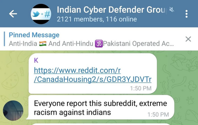 report.png