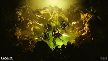 MCC_Flood_Watermarked_4K.jpg