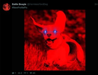 battle beagle becomes his true faggot self finally.jpg