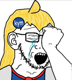 1721741258972.png