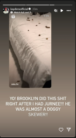 1721758936476.png