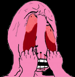 1721762236561.png
