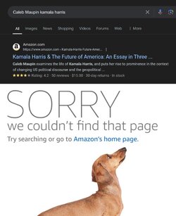 Kamala+critique+suddenly+pulled_44f4b0_11789271.jpg
