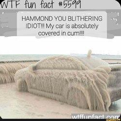 IMG_9694.jpeg
