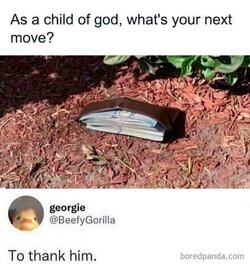 932922.jpg