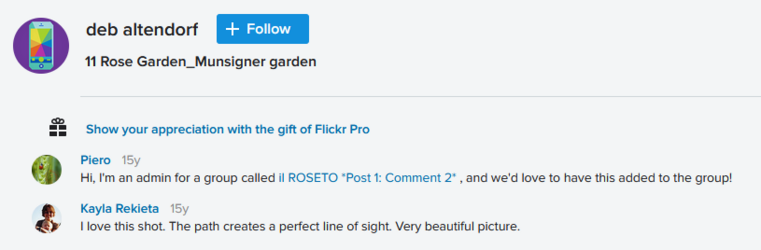 A Kayla Comment.png