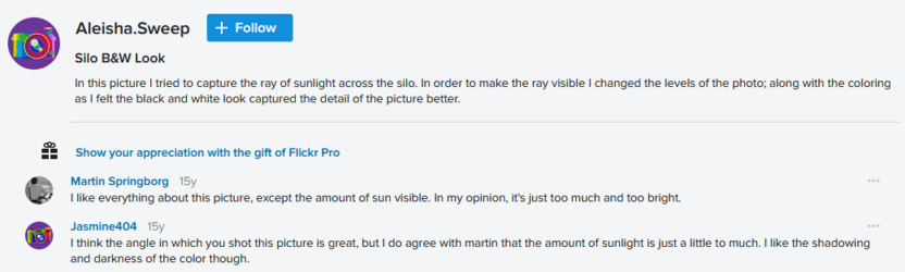 Comment Sample.png