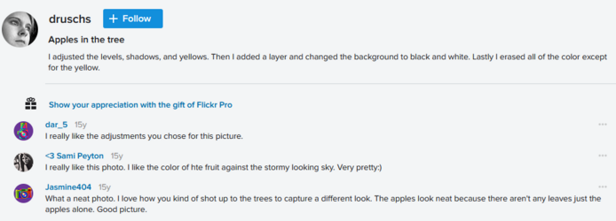 Misc Comment.png