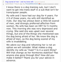 1721840536205.png