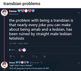 Tranny L post 7.jpg