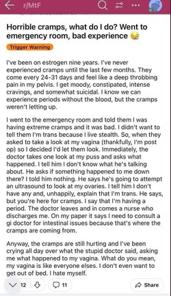 Tranny L post 8.jpg