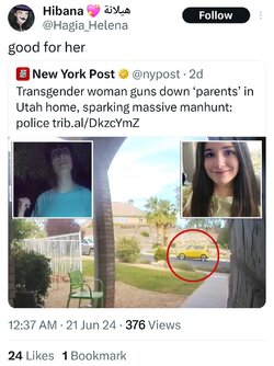 Tranny L post 10.jpg