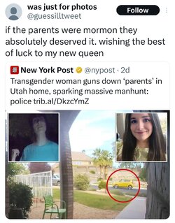 Tranny L post 12.jpg