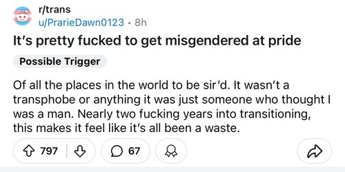 Tranny L post 26.jpg