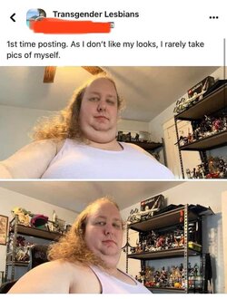 Tranny L post 32.jpg